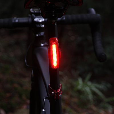 carbon cages cycling